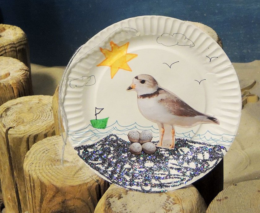 Paper plate craft featuring a piping plover and glitter. 