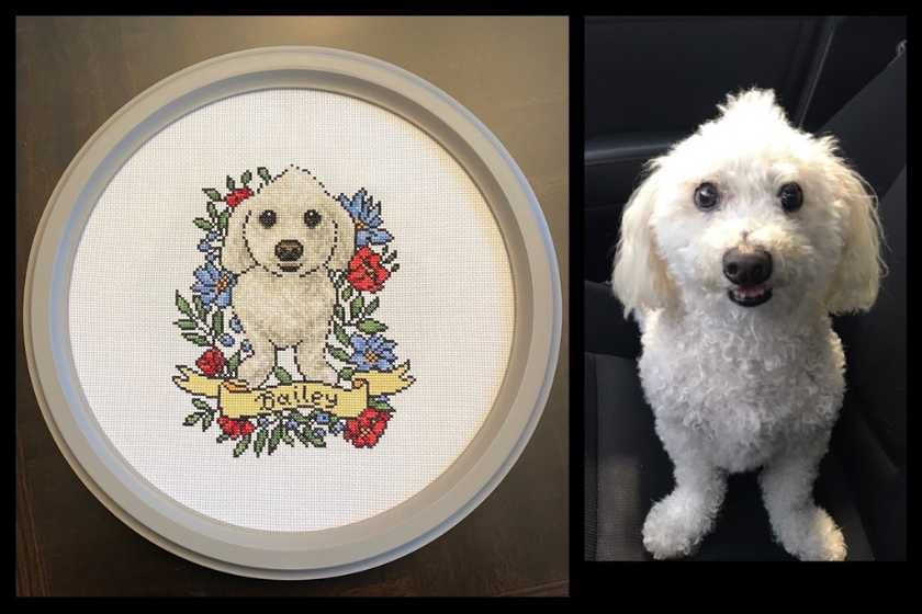 Photograph of a white bichon frise next to a framed cross-stitch copy of the dog surrounded by flowers and the name "Bailey."