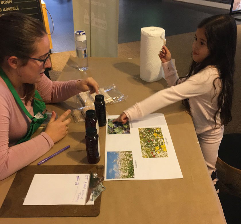 An LICM staff member teaching a child about flowers at a table.