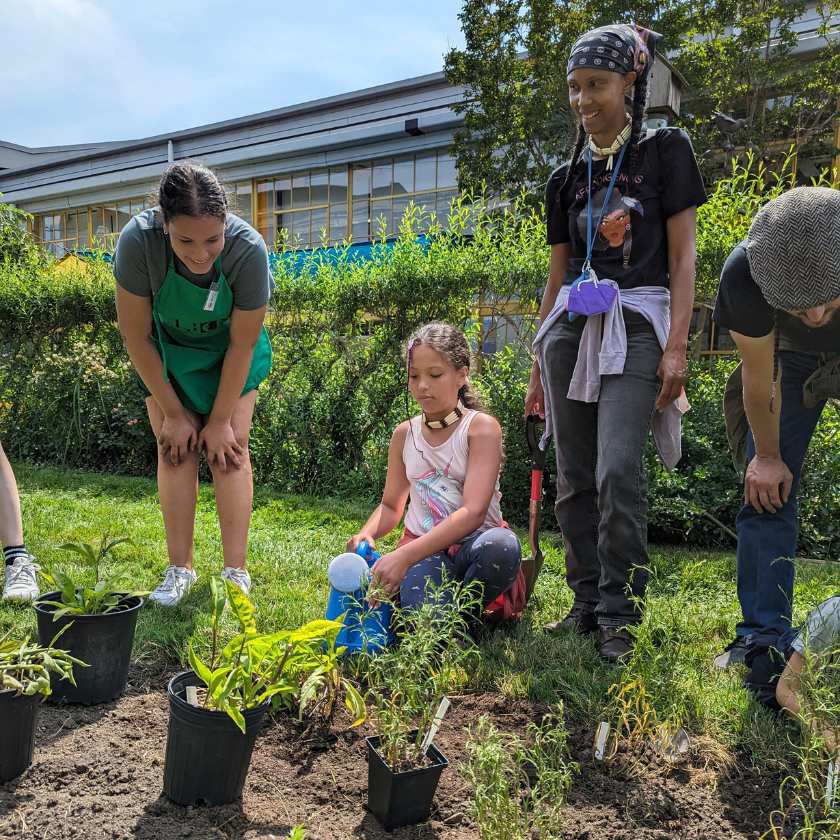 A group of children and adults with an LICM volunteer watering native plants in LICM's backyard. 