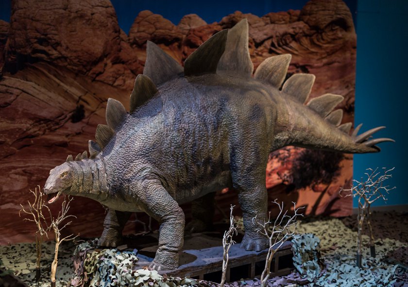 Large replica of a stegosaurus surrounded by plastic vegetation. 