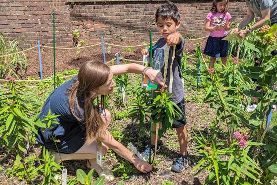 An LICM staff member crouching down while measuring a milkweed plant with a boy standing next to them holding the top of the measuring tape.